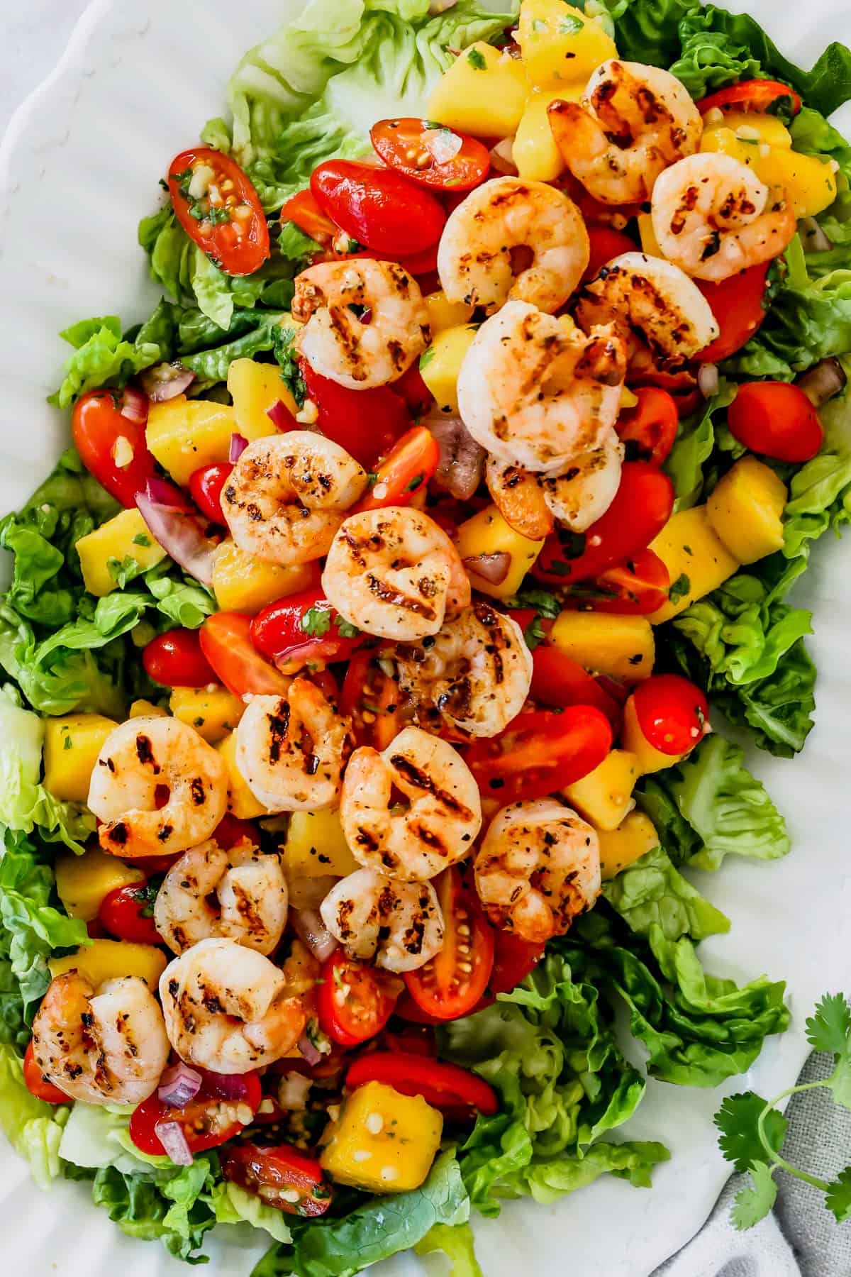 Mango and Grilled Shrimp Salad
