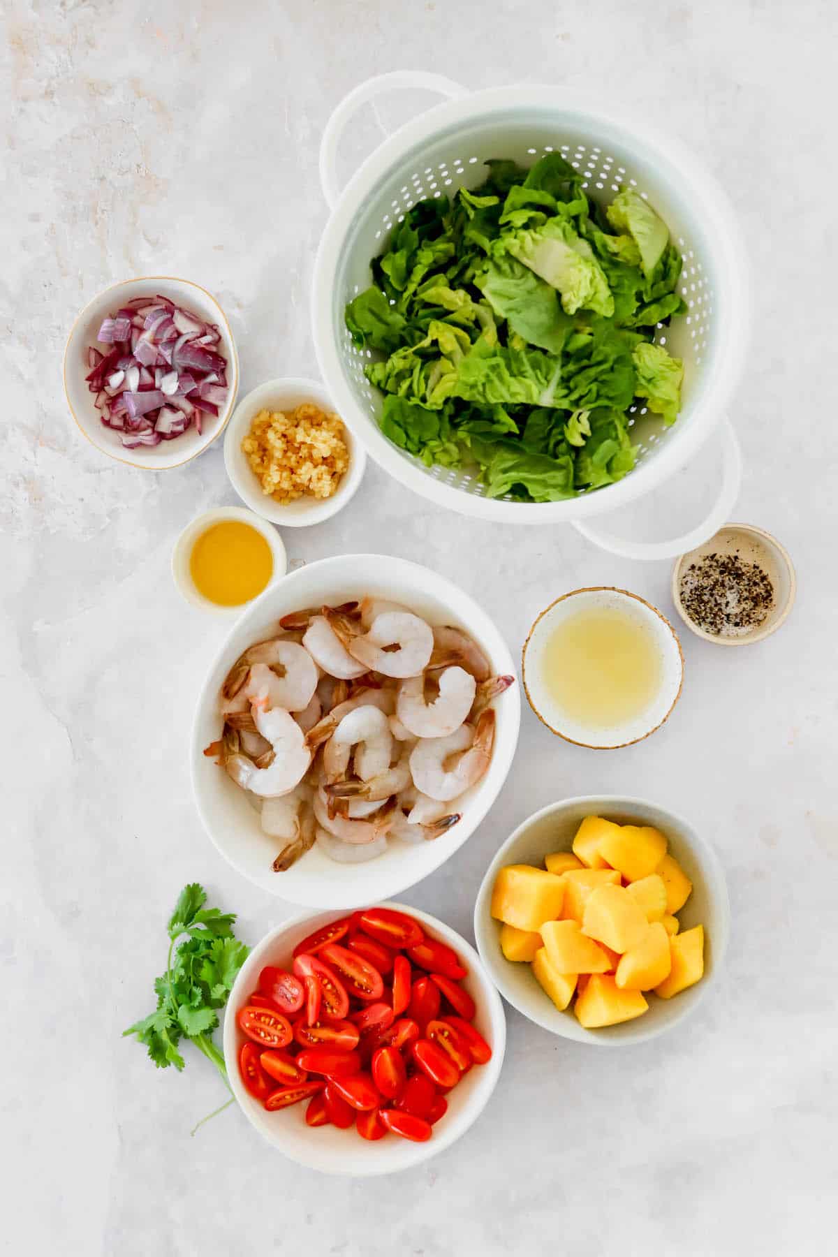 Mango and Grilled Shrimp Salad